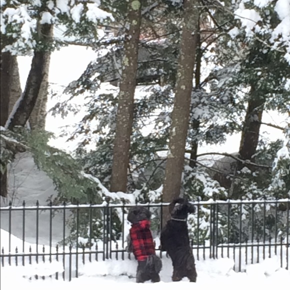 👩🏻⚕️Meet your Posher, Isabelle - Picture 2 of 2